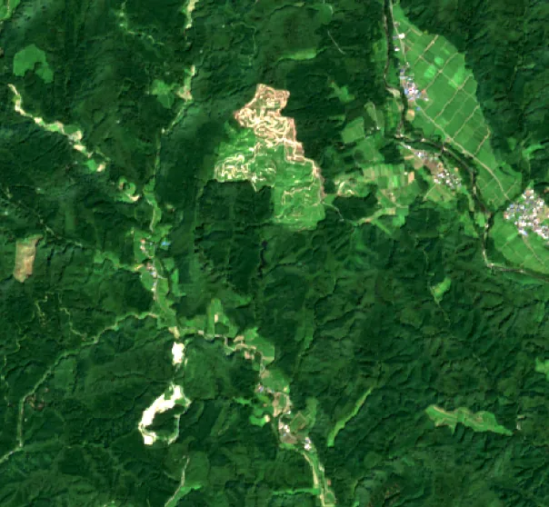 2024年8月19日の衛星写真